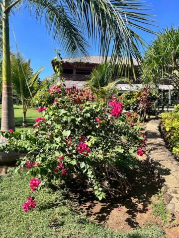 Villa Milena Nosy-Be Extérieur photo